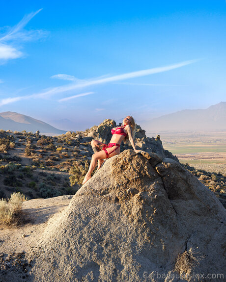 carbasauruslex actrice érotique image
