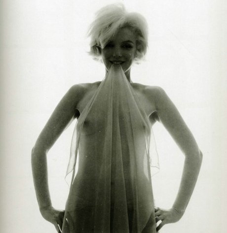 sexe en cuisine onlyfans nu exclusif galeries