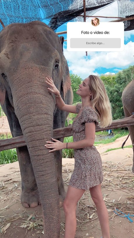 Inna Moll haut modèle des photos