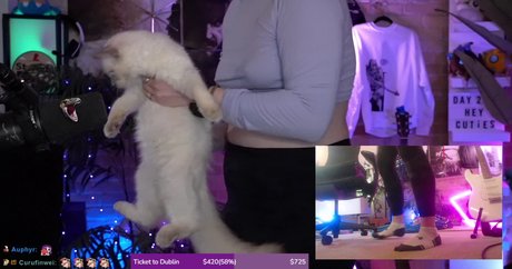 kaitlyn sc2 actrice pornographique images