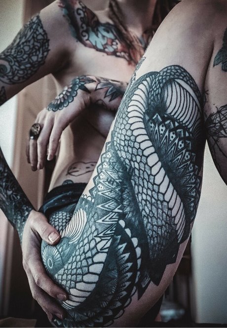 Tory Inve étoile de haute qualité galerie