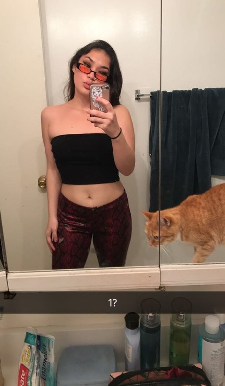 chaton potelé uniquementfans meilleure jolie galeries