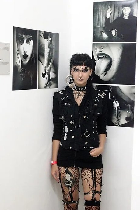 Chen belle étoile collection