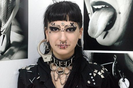 Chen étoile de haute qualité collection