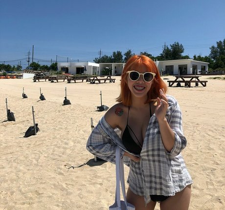 Chen belle étoile archive