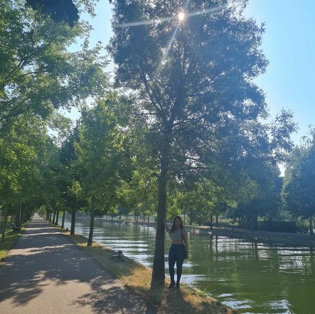 Ann Cygnus étoile hd photo