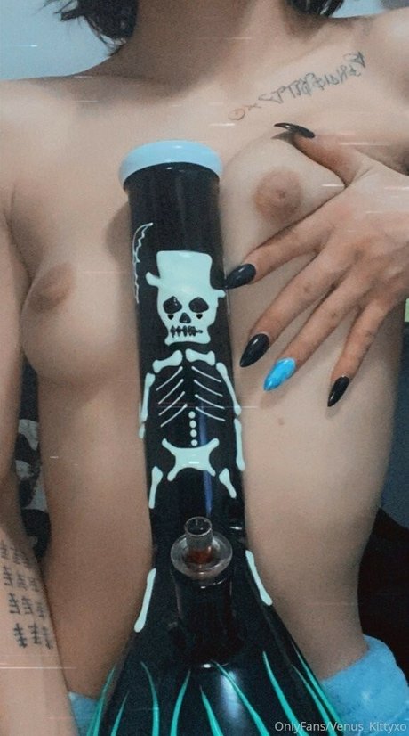 Venus Kitty sexe de star du porno galeries