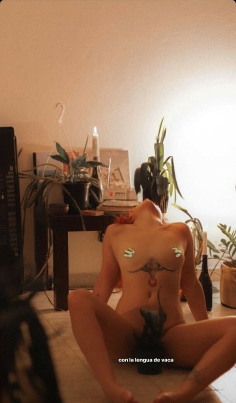 Phaine Gibouyeaux star du porno sexy image