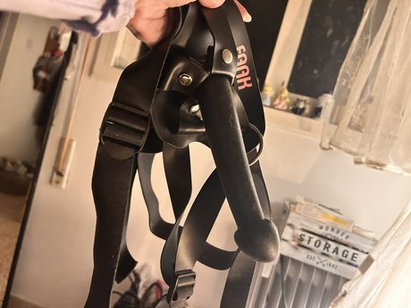 Queen Red belle étoile galerie