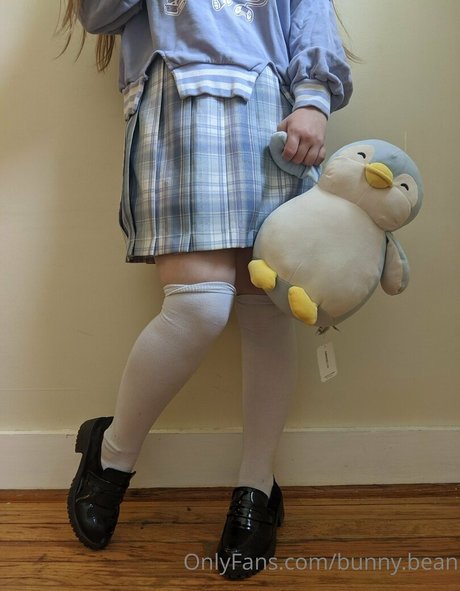 Unused Notebook étoile xxx galerie