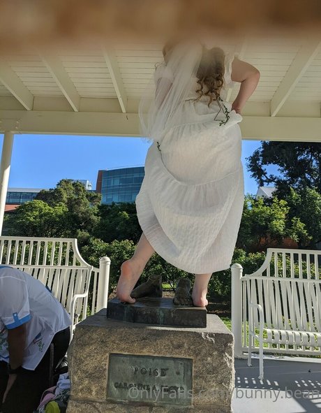 Unused Notebook star exclusive image