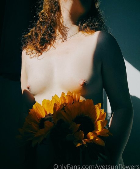 wetsunflowers nus de stars du porno galerie