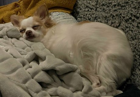 grand-mère britannique onlyfans nus sexy photos