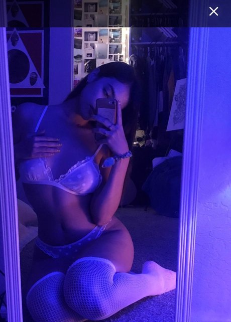 sftobrazil haut étoile galeries