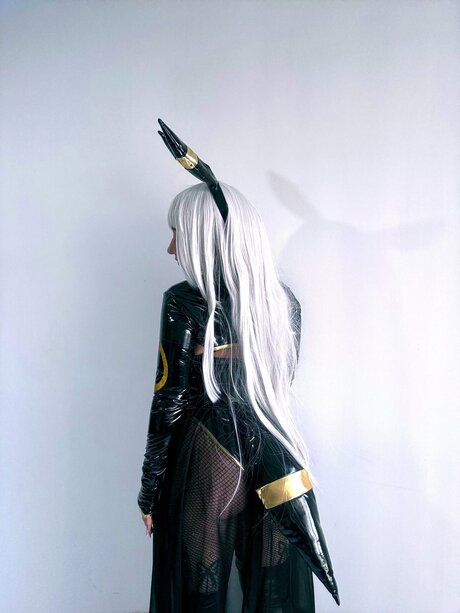 Oreoconsushi étoile magnifique galeries