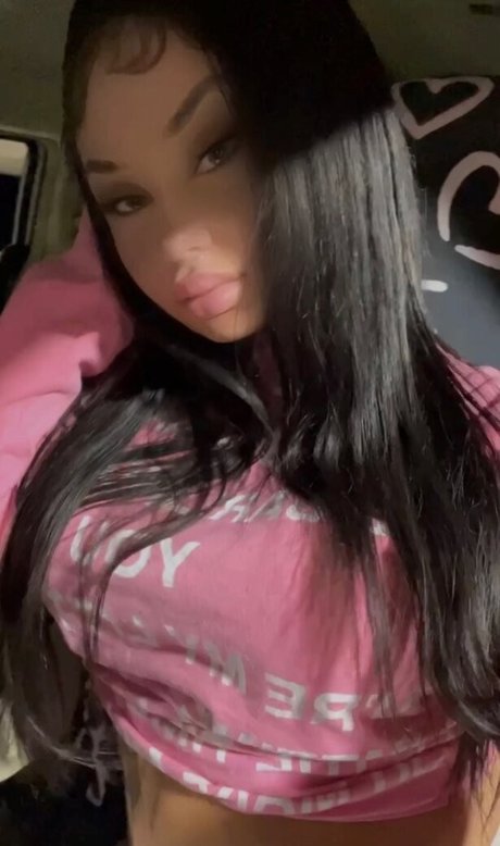 Goyard Wallet modèle joli image