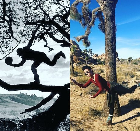 Allison Scagliotti belle star du porno archive