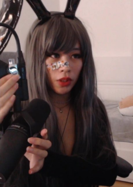 Saiiren modèle hd image