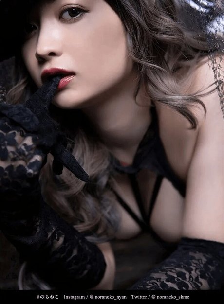 Noraneko star érotique img