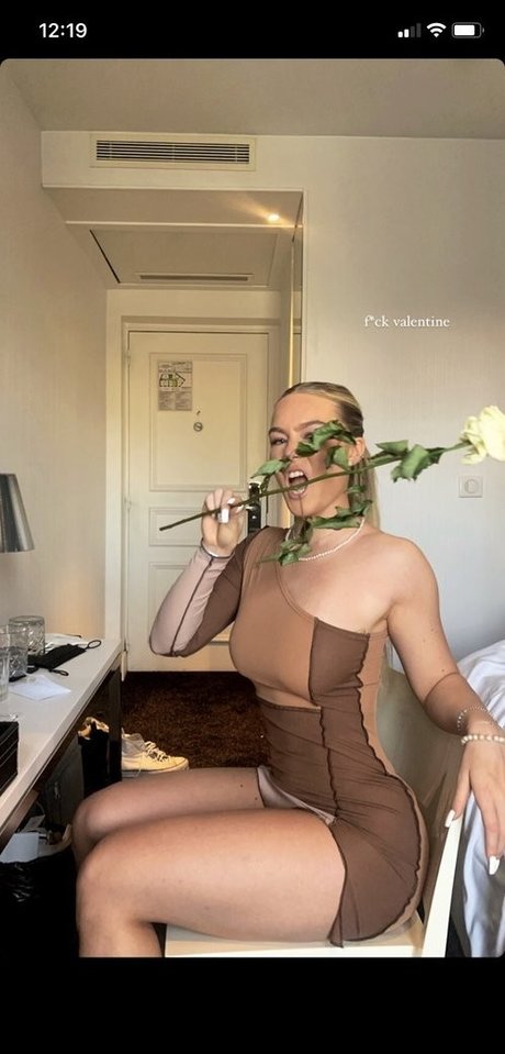 Hannabaumnn étoile adulte img