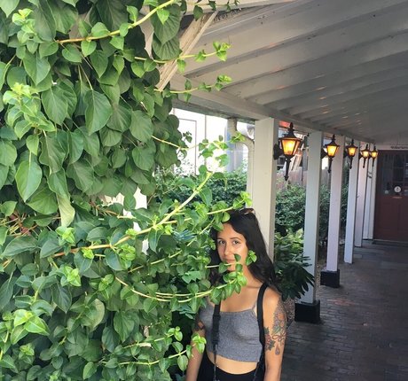 Lenamarisol jolie étoile galeries