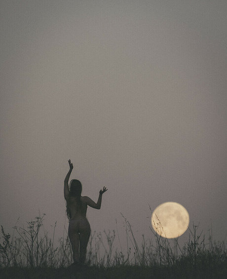 thinloth art star du porno photos