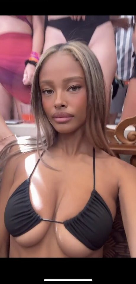 Vinetrria Vinetria modèle meilleur galeries