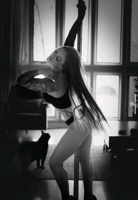 Shaul Guerrero étoile nue galerie