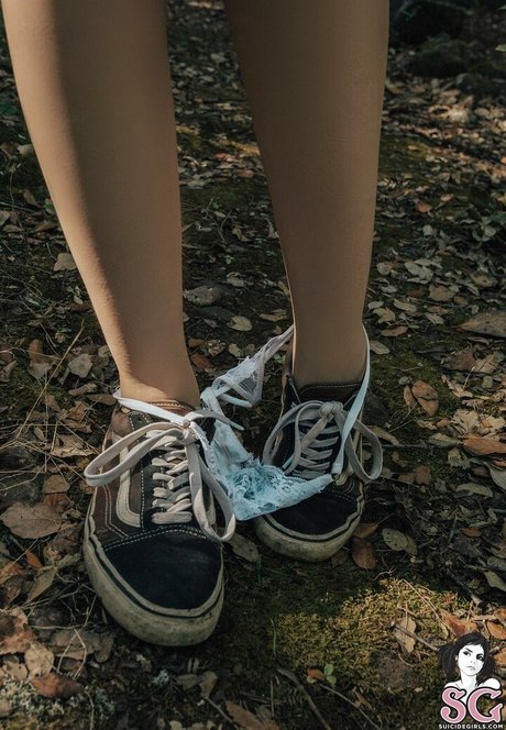 Lunathefairyy étoile parfaite images