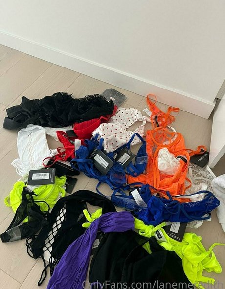 lanemeredith jolie actrice image