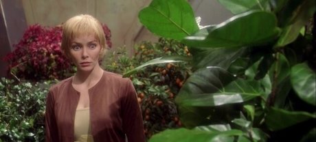 Annie Wersching étoile érotique collection