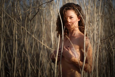 Yael Gayaa star du porno de haute qualité images