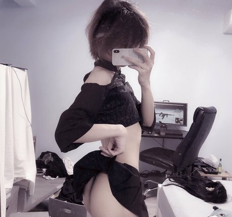 wionnp modèle parfait archive