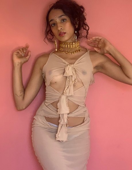 Raveena modèle image