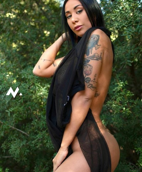 chatte solo uniquementfans xxx haute qualité galeries