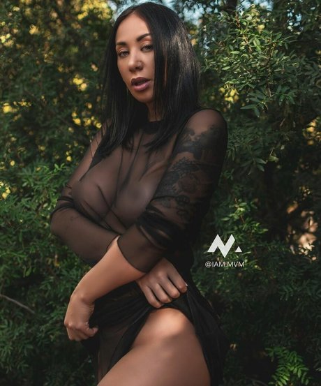 La tiguerita star du porno adulte collection