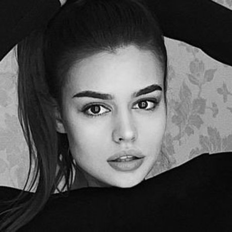 Meflia étoile galeries