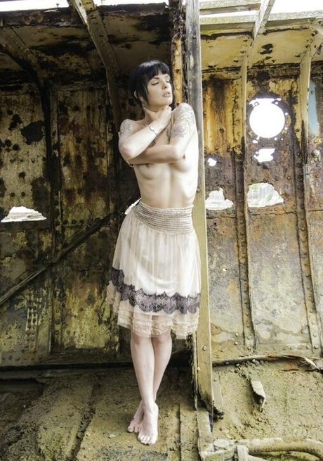 Vixen Blackheart sexe de star du porno image