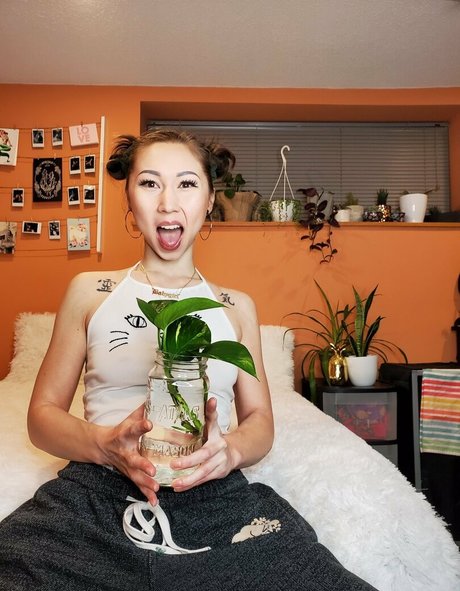 Kimora Koi étoile sympa img