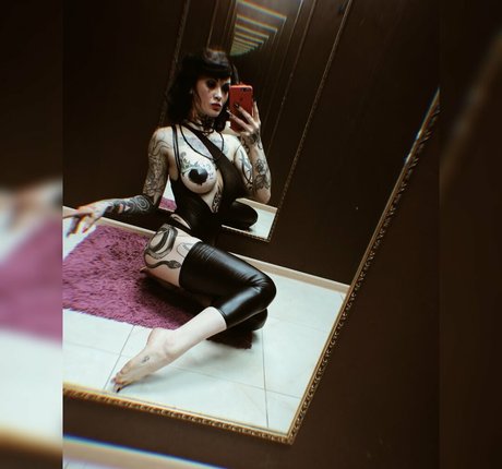 Martiz Matterz étoile de haute qualité galeries