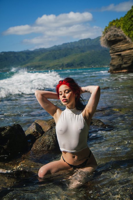 Hannsoff étoile chaude collection