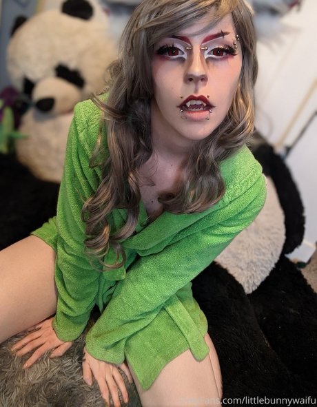 Roadkillinit meilleure étoile img