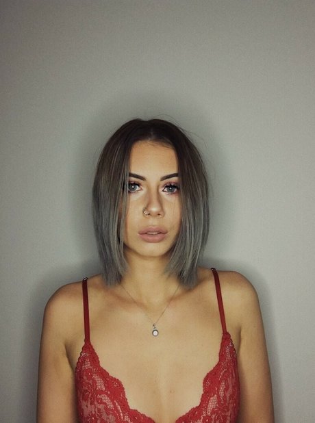 Bailey King étoile parfaite galeries