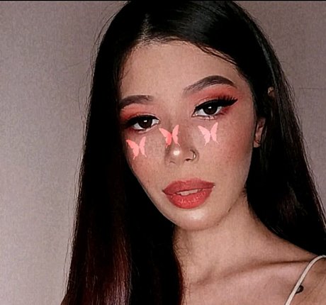 Anmongero modèle joli image