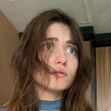 Greymouse joli modèle des photos