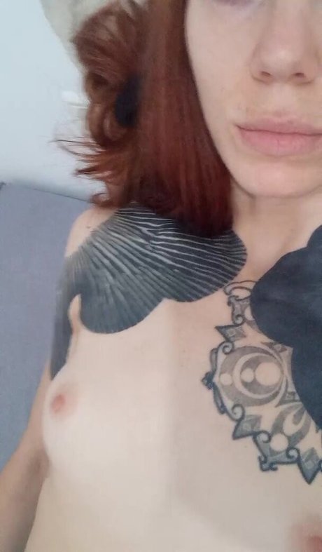 Freya Volt belle étoile archive