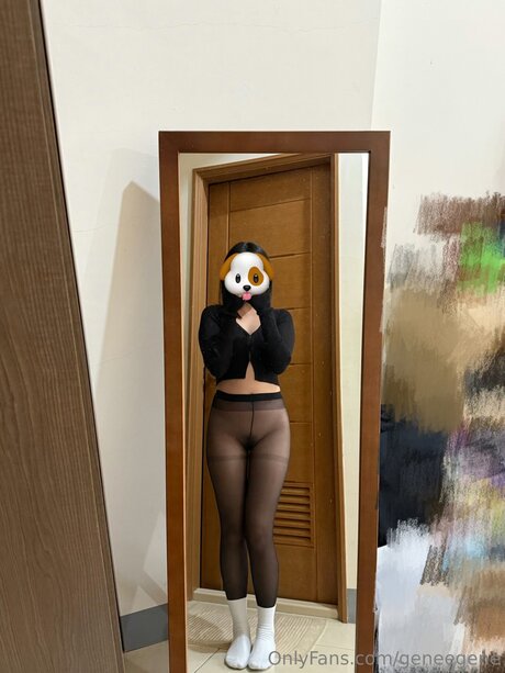 geneegene étoile galerie