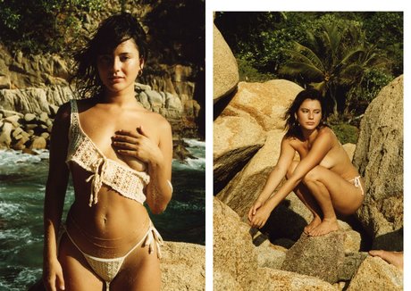 Sierrabravee étoile de haute qualité image