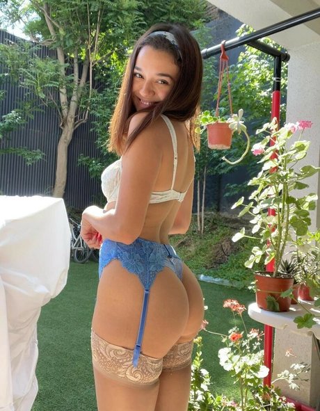 Shawsera étoile adulte des photos