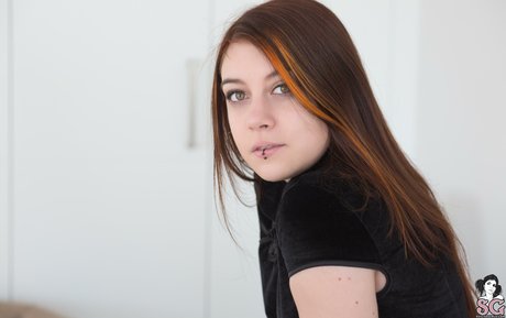 GateteFloyd nus star du porno images